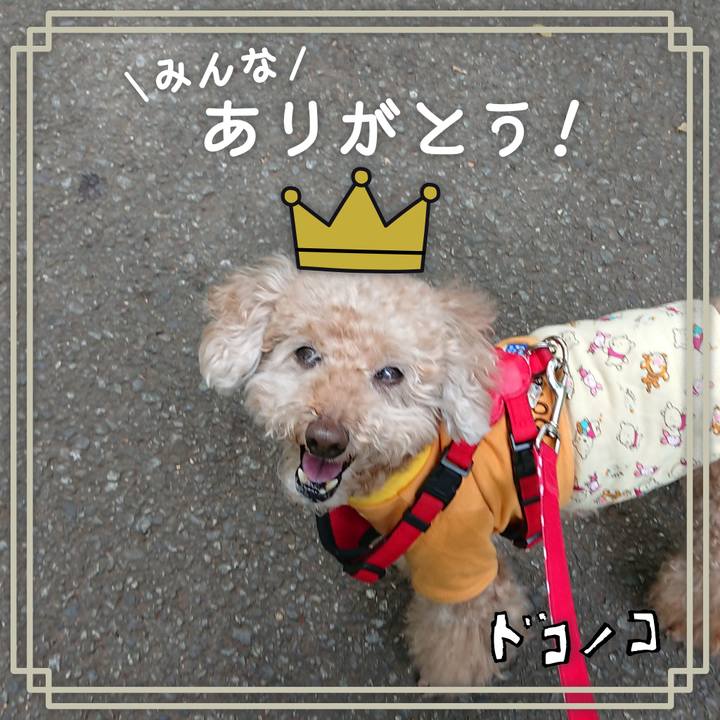 82e6b17a 9484 4b9d a48a 0d0acdc44449 1623580688769