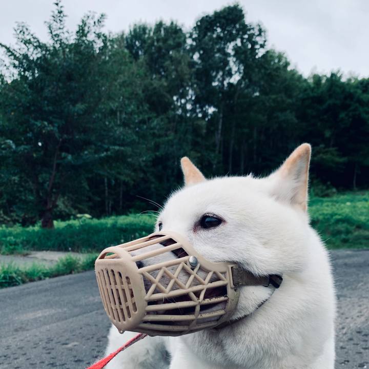 82e6c090 cc8a 46ab 8b35 9fdda945ccfb 1599861900733