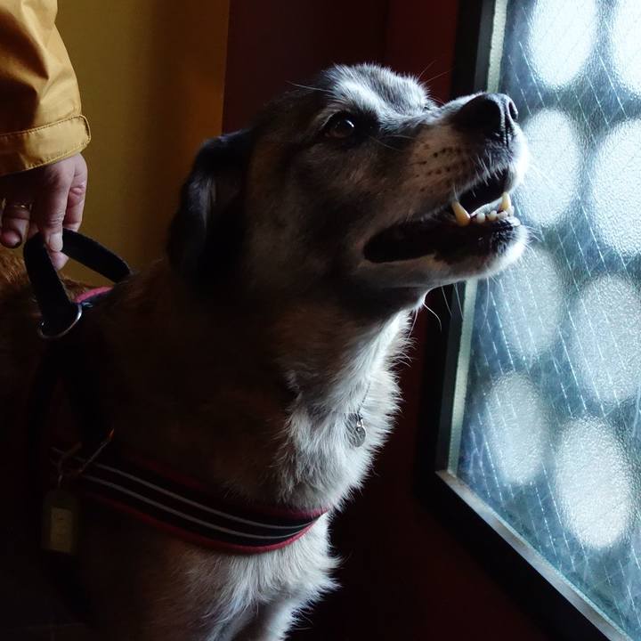 82e702ce 24ac 4a23 9412 98dcfa818f17 1573259119738