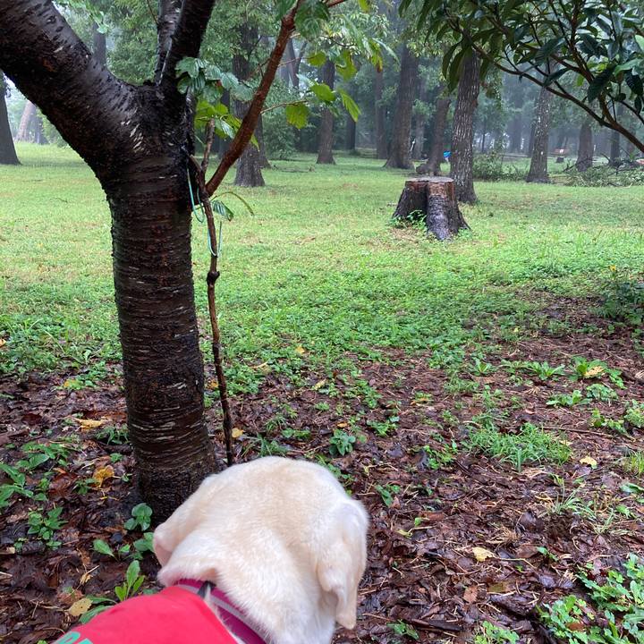 82e71007 41b2 4675 bdd8 029a9589cafe 1694215207690