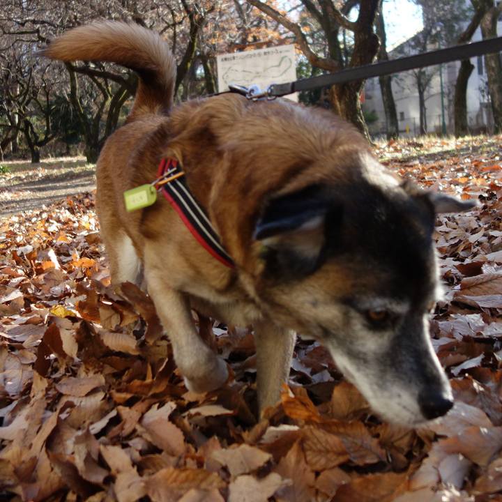 82e71cfb b6e4 4ab7 989f 19e9e359030a 1655858627550