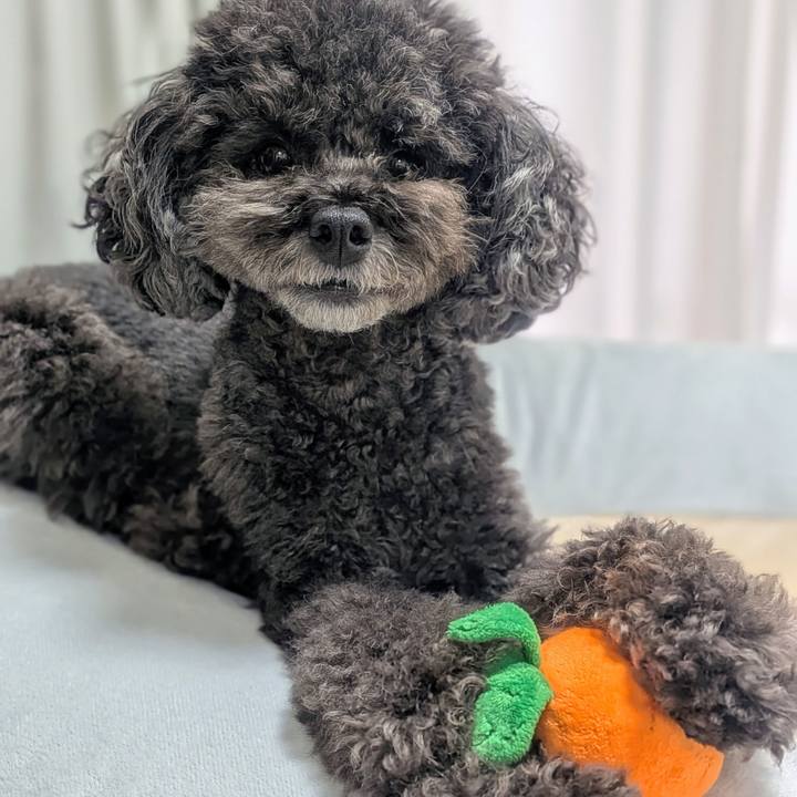 82e73c23 f0a1 46d8 a0a3 58b12cbf55b9 1757837184825