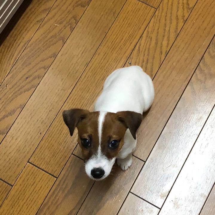 82e74da6 e4d8 4995 ae7b e76d87e1c979 1512515076576