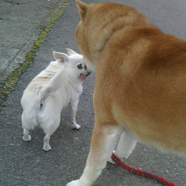 82e77a22 b974 4502 99ed a378c91051aa 1545105886604