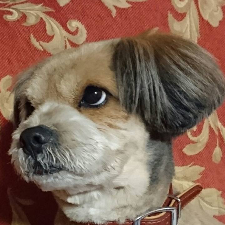 82e78413 5021 4f8e 9e79 49f3f93d3478 1520765330516