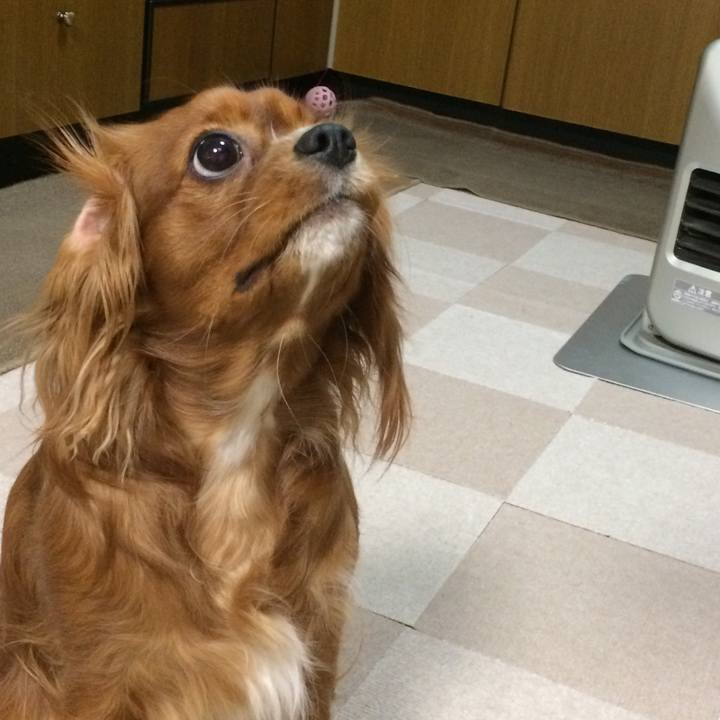 82e78566 eb59 46f2 beeb 3ed770f43fad 1516793049947