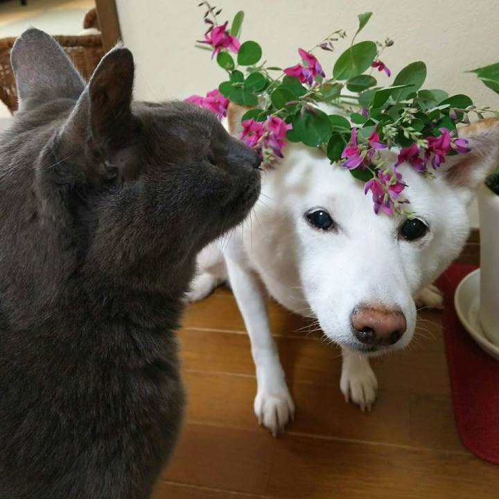 82e78885 e992 4565 b3a4 69141dcdcaae 1631598668597