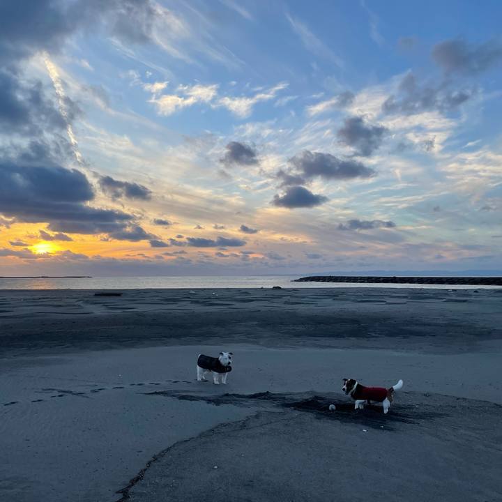 82e7c931 6efa 4689 9167 ccbad50172af 1702545389225