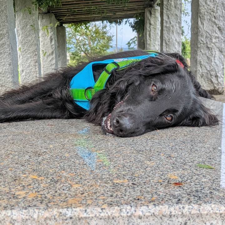 82e7f618 2c8d 4c4d 89c2 3da98b1dea17 1755776534956