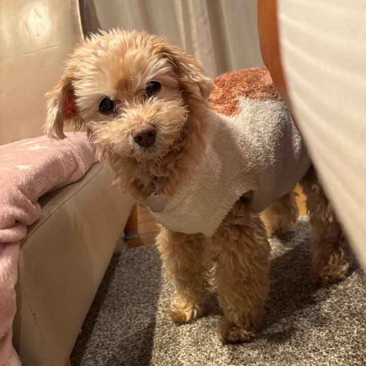 82e85222 315a 4ebe 9987 c0f0318d57af 1740312773276