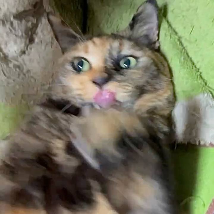 82e85bd0 fae8 4f98 b855 94bb41bd75d6 1768680907821