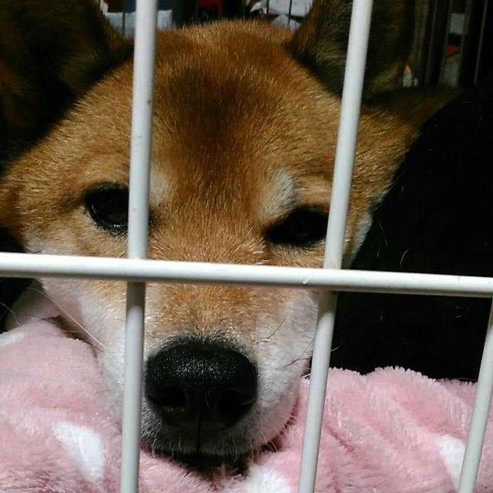 82e890e1 308a 43a5 ab4c 3699e9ce71d7 1575201962983