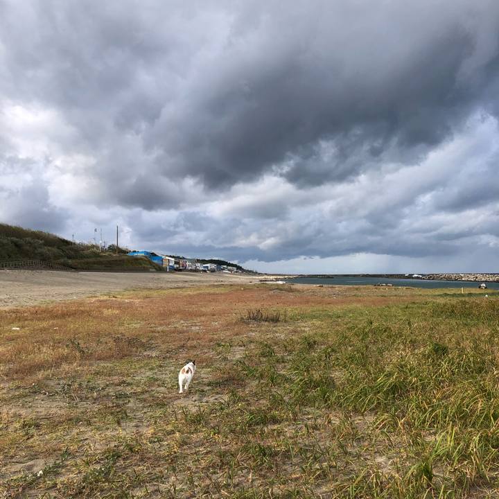 82e8c8a6 ead5 48a8 a509 4fbf826d9f6a 1604359164734