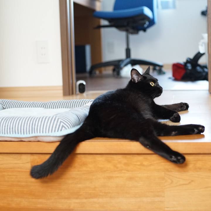 82e8ca58 824b 4f7c bc06 b83a82f3c855 1534981751911