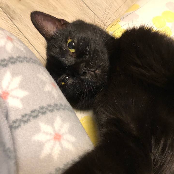 82e8d797 9640 4ef8 bbb8 d6216ed4cc1a 1511957855627