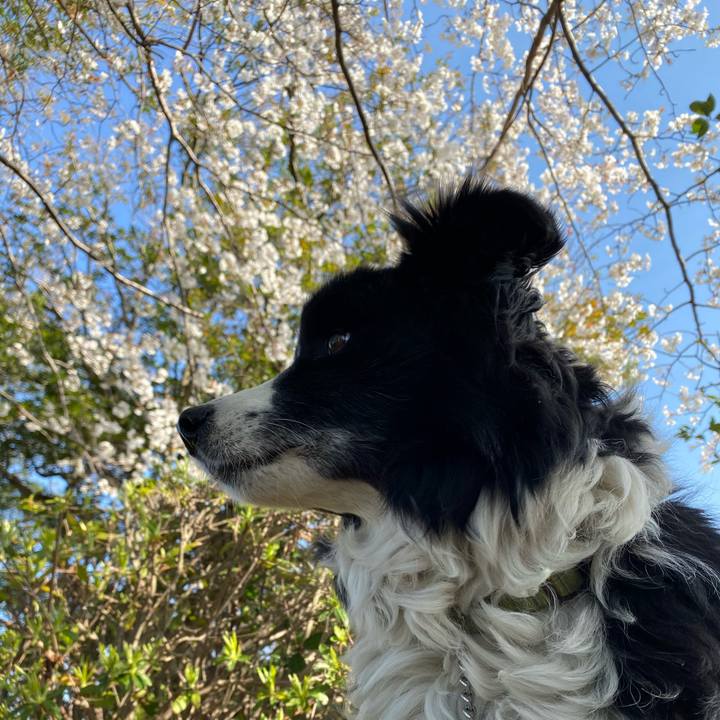 82e8f847 4344 496f a563 f43595a15011 1615423790818