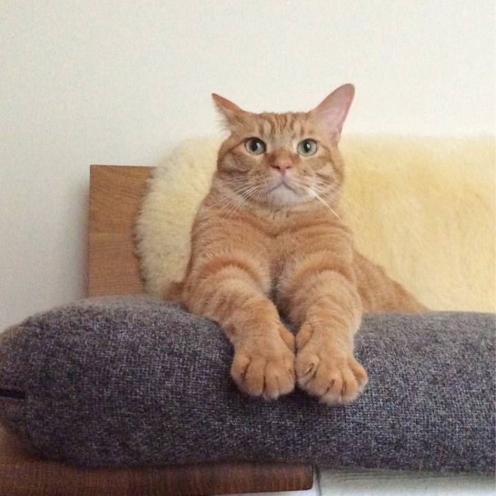 82e91c47 1770 48f8 8825 6c29dcf79519 1593693296802