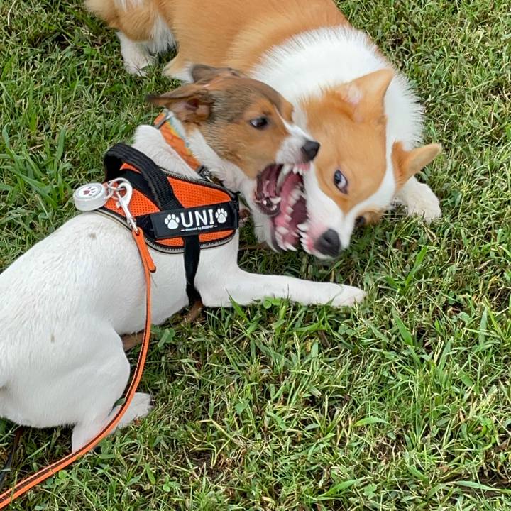 82e92f0c a63f 482d a0ed ad0e172187a3 1695533728038