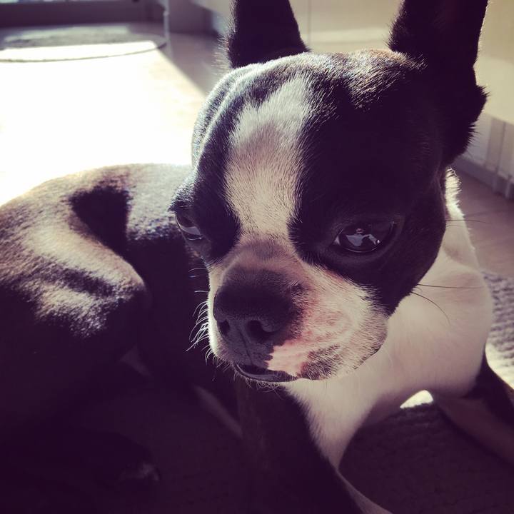 82e93836 d42d 4888 af7d 85fbbabe4a4d 1527129873892