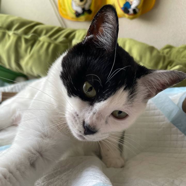 82e93bf6 b1a9 4653 b14d 663000c21d97 1620442554033