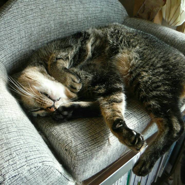 82e985a0 b0bd 4dfa b900 71ecce22415c 1535959486290