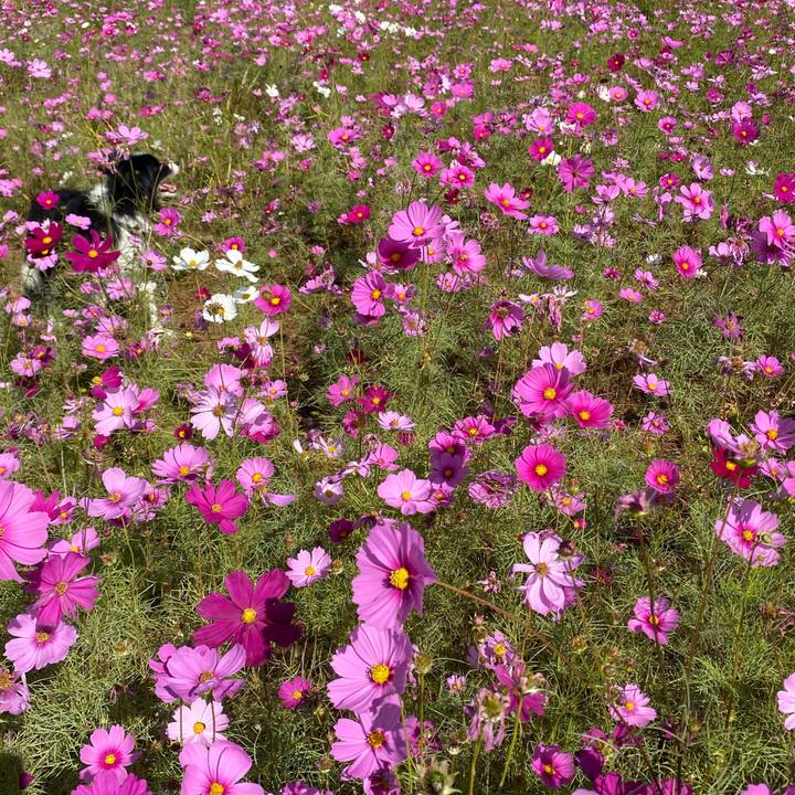 82e98adf e566 4d35 8ec9 59483ee45503 1635132930880