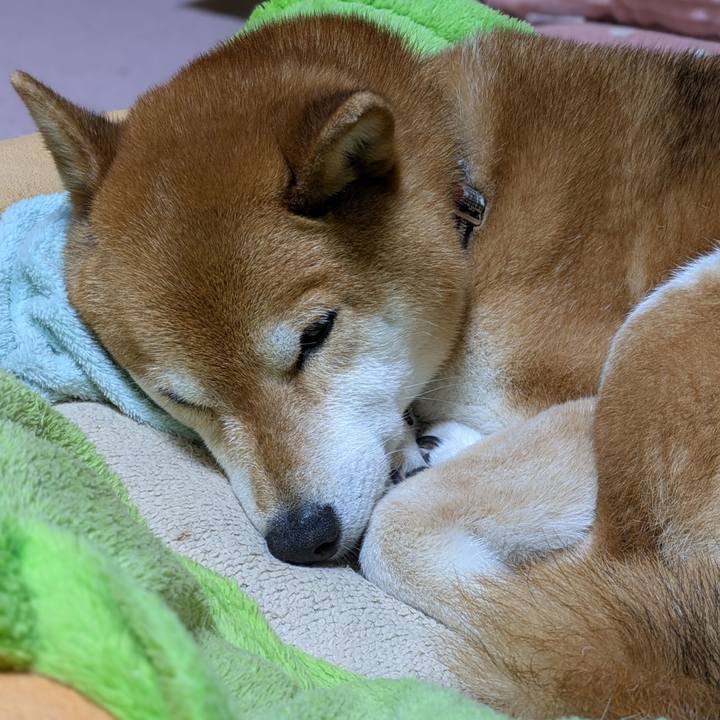 82e98bb1 3ec5 4205 aec2 54c9ae9f1edc 1745500356218