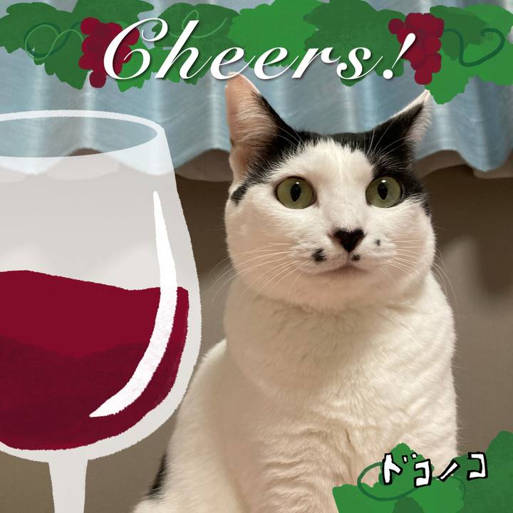 82e9d109 f1a4 4b90 b778 d33a02398c09 1762349878619