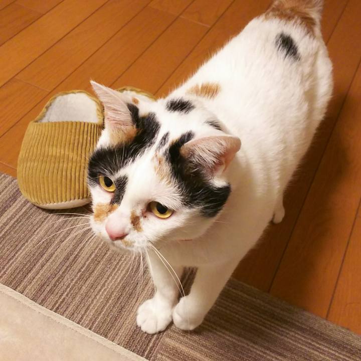 82e9d582 7afc 437e baf4 90b385608082 1520077538830