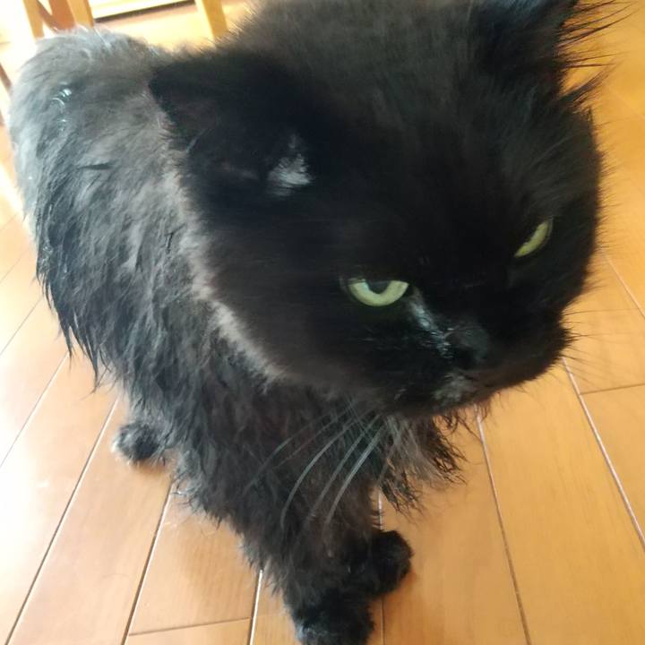 82e9e0d2 0ff9 4271 bd33 11da92eee397 1690342685984