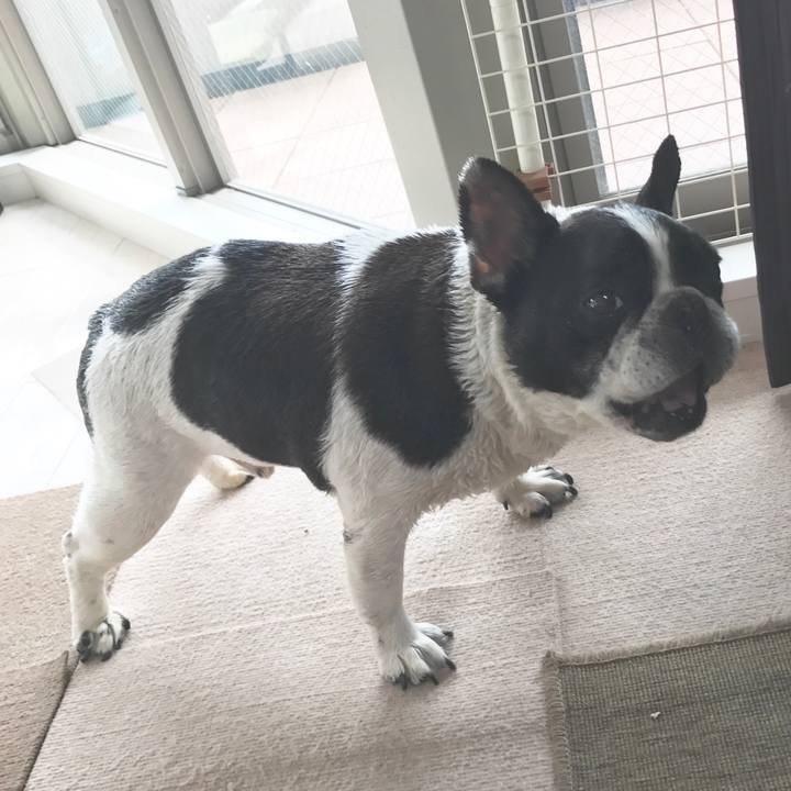 82e9efc5 36cf 4730 872b e4604a78f7b4 1531881968311