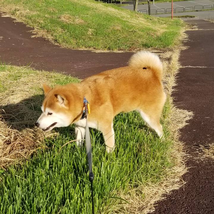 82ea0b17 4e64 4d0c 8869 c7b9663c6f14 1568038799177