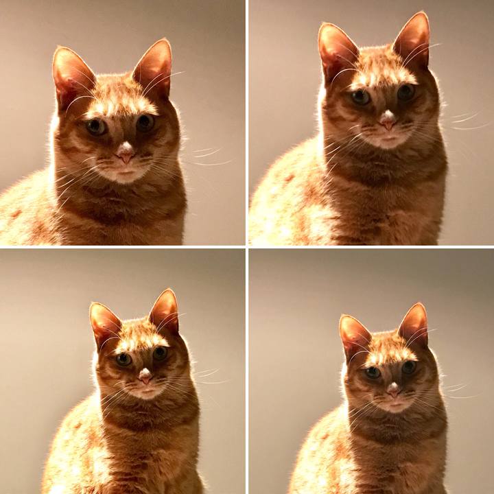 82ea1bdd 50c2 482a 83bc 90f8b6ba917f 1511169613961