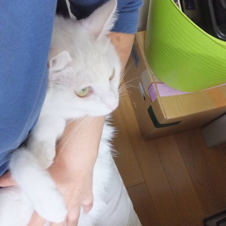 82ea3649 6194 4bac bc6c 78c5c17f6593 1631425096010