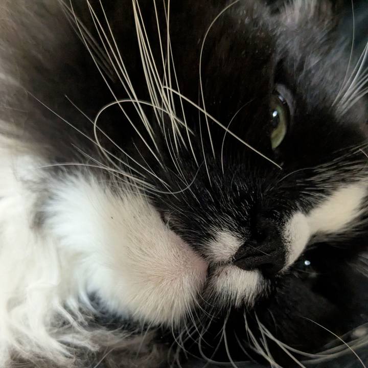 82ea5fc2 90f3 439c b248 b5f3dd20e252 1771591914876