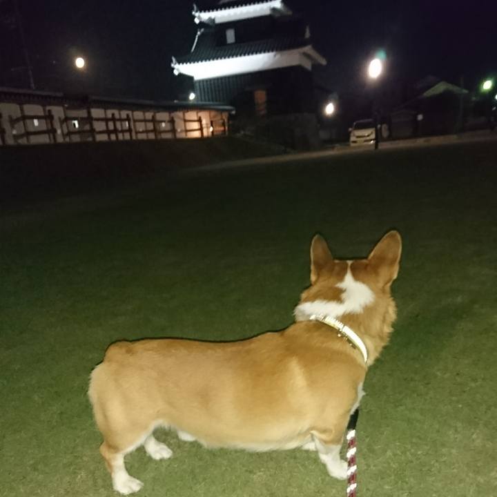 82ea7156 80c3 4f1b 85d8 73a56bb04327 1601646205840