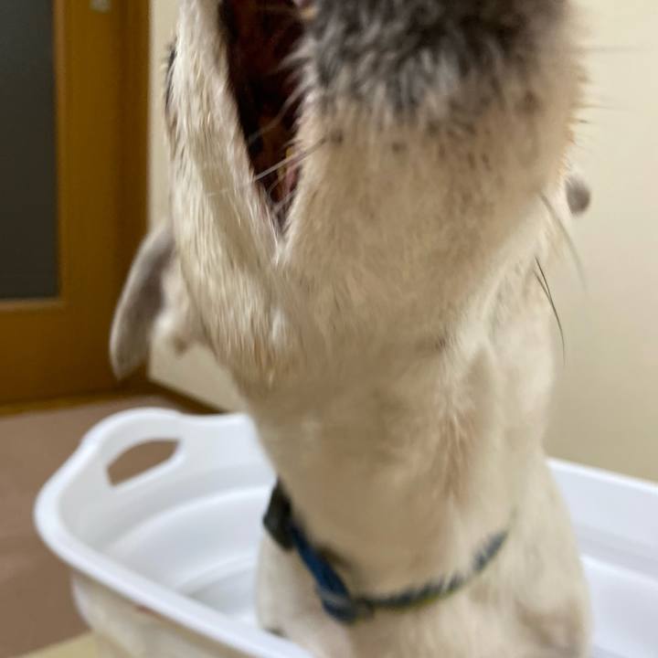 82eab430 6fe0 4ed8 b8c4 0117b45b7d6b 1664800155883