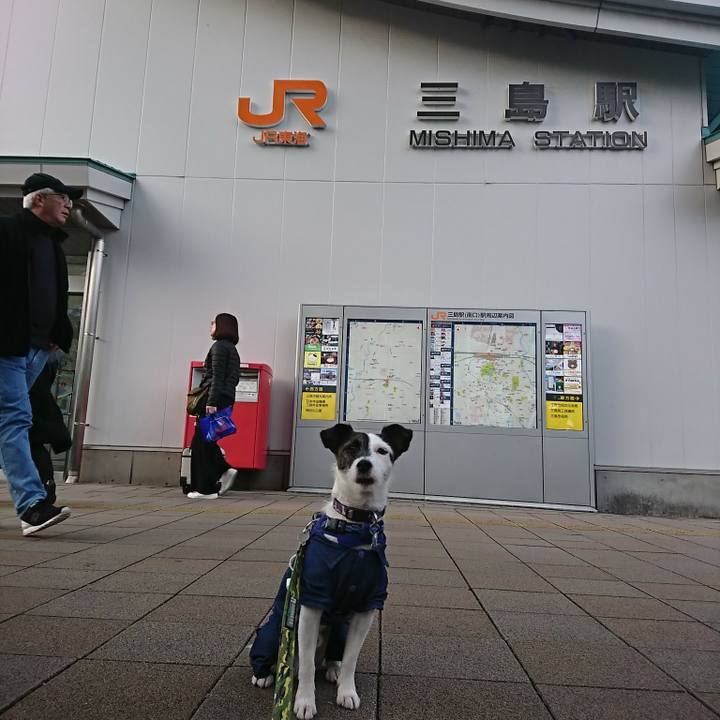 82eb4073 965c 43ab 8dfe 0632e0b83565 1511591427225