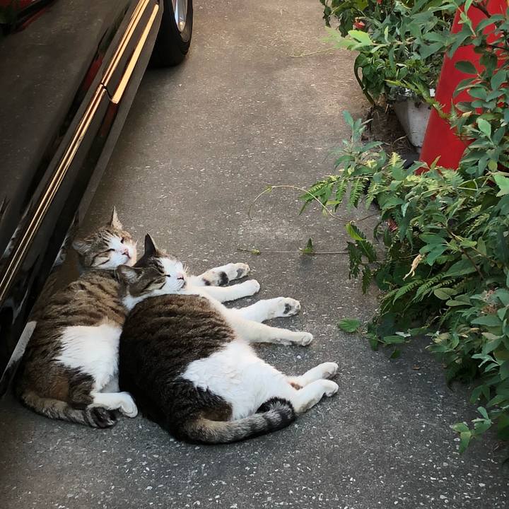 82eb657e 7667 4953 b927 8923a64266ec 1526981063577