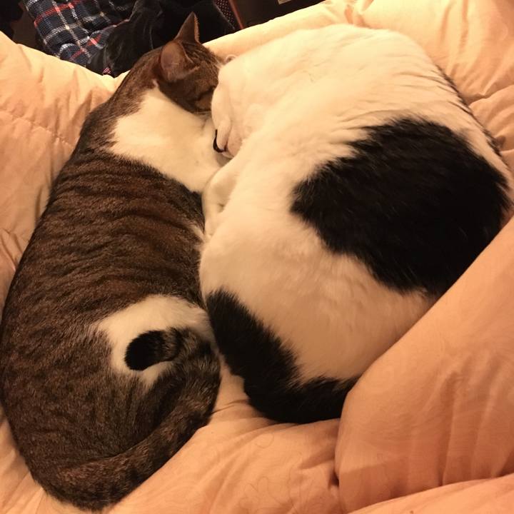 82eb6f17 8dd4 4744 ba95 2be0adfd4e74 1513669389190