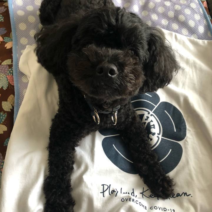 82eba68f 7443 441d 8e2e 7762e768ed58 1594001901992