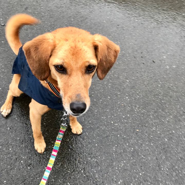 82ebc85f 41ea 48f8 a309 484998990256 1529059929749