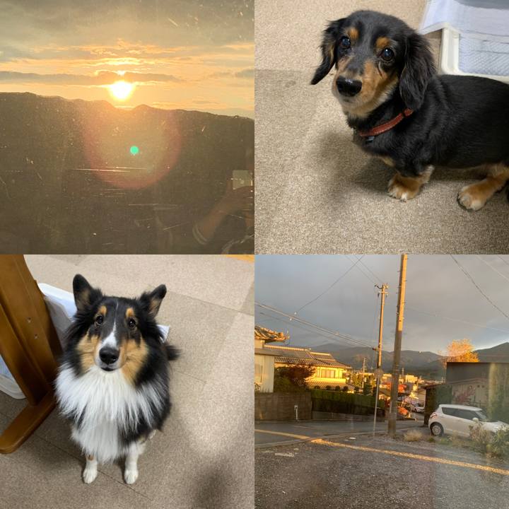 82ebd722 fe59 45cb 80cb d9aa52a6493d 1573681920726