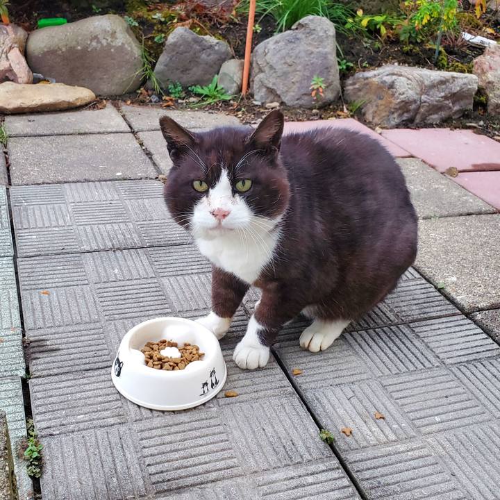 82ec0029 5924 4252 9146 2987f3371900 1699893701495