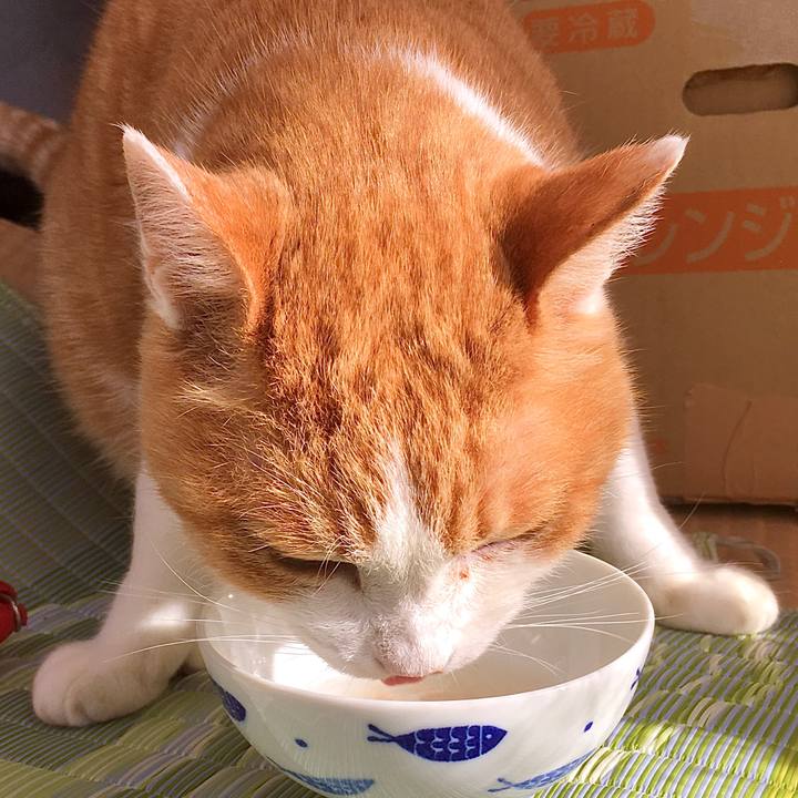 82ec1484 b1d0 4b9a b27c 48325d6f2909 1607070740752