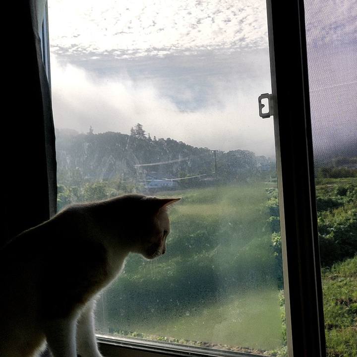 82ec150b 8be5 49fb 87aa 460ff454a7e9 1661729373913