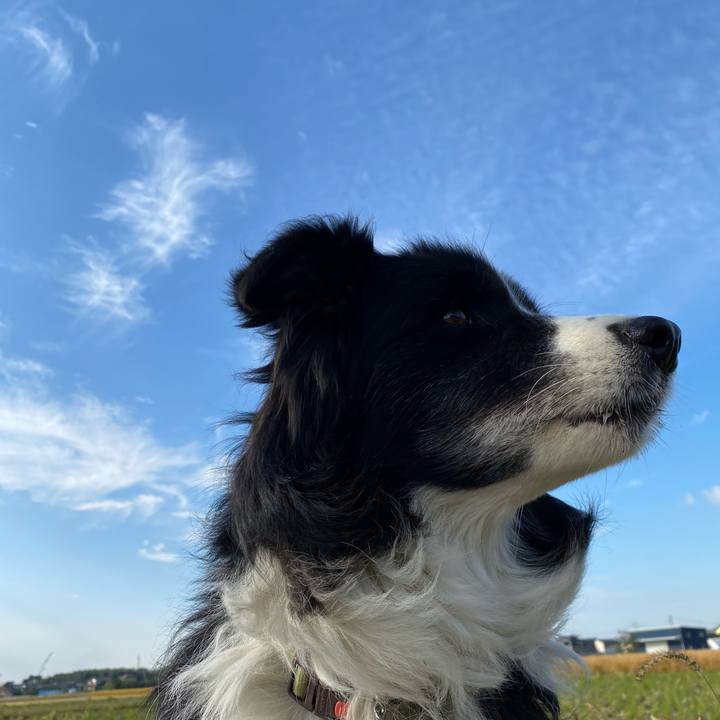 82ec5774 7df7 42a3 bdea 1539f027db7a 1635295440024