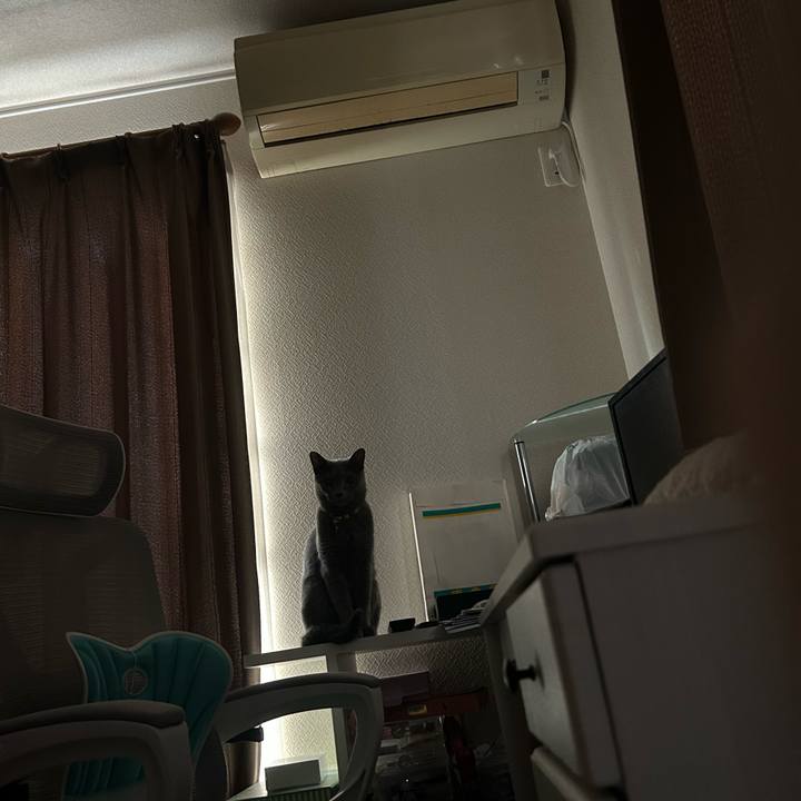 82ec61ba 7f79 495e ade1 48173a41a661 1692683212096