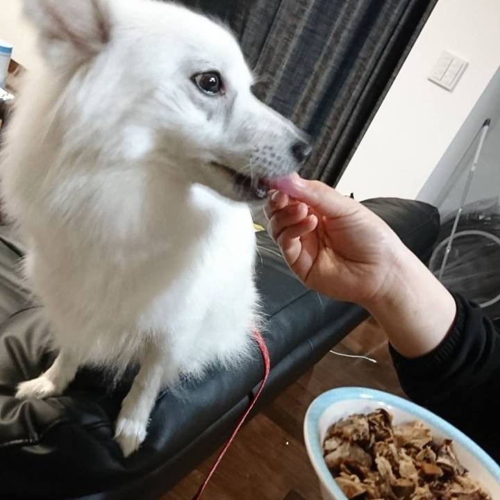 82ecf704 6610 4a4d a895 a0e3e1f3af7f 1531574649335