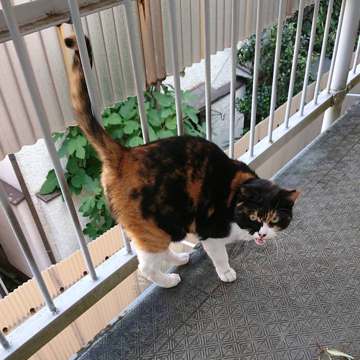 82ed083e cfd2 46d3 928b 48c231ef9205 1573267650071